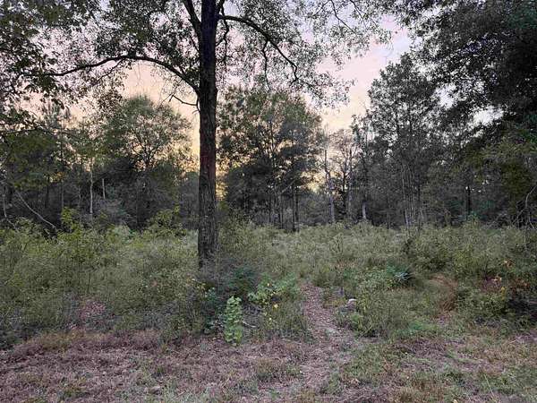 10.1 Acres of Land for Sale in Holden, Louisiana