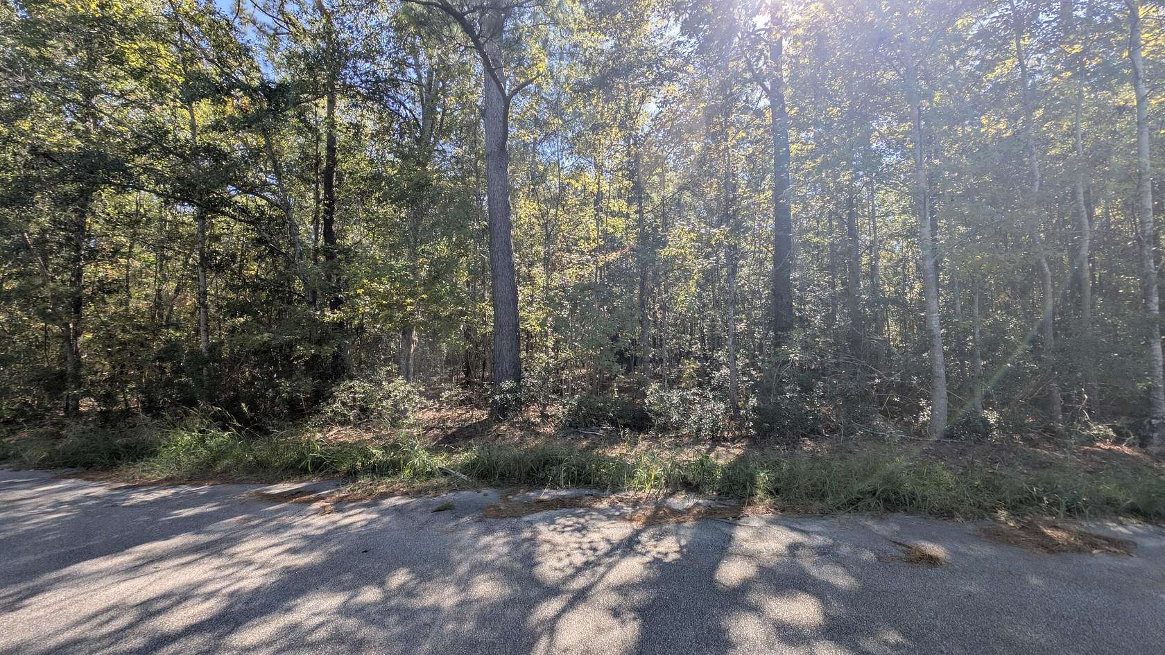1.29 Acres of Residential Land for Sale in Summerton, South Carolina