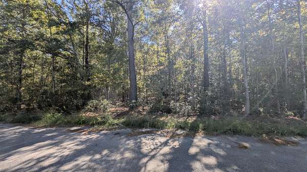 1.29 Acres of Residential Land for Sale in Summerton, South Carolina