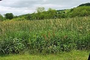 0.44 Acres of Land for Sale in Ligonier Township, Pennsylvania