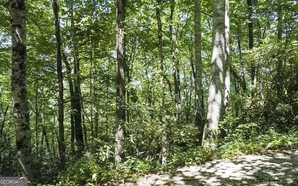 1.14 Acres of Residential Land for Sale in Sky Valley, Georgia