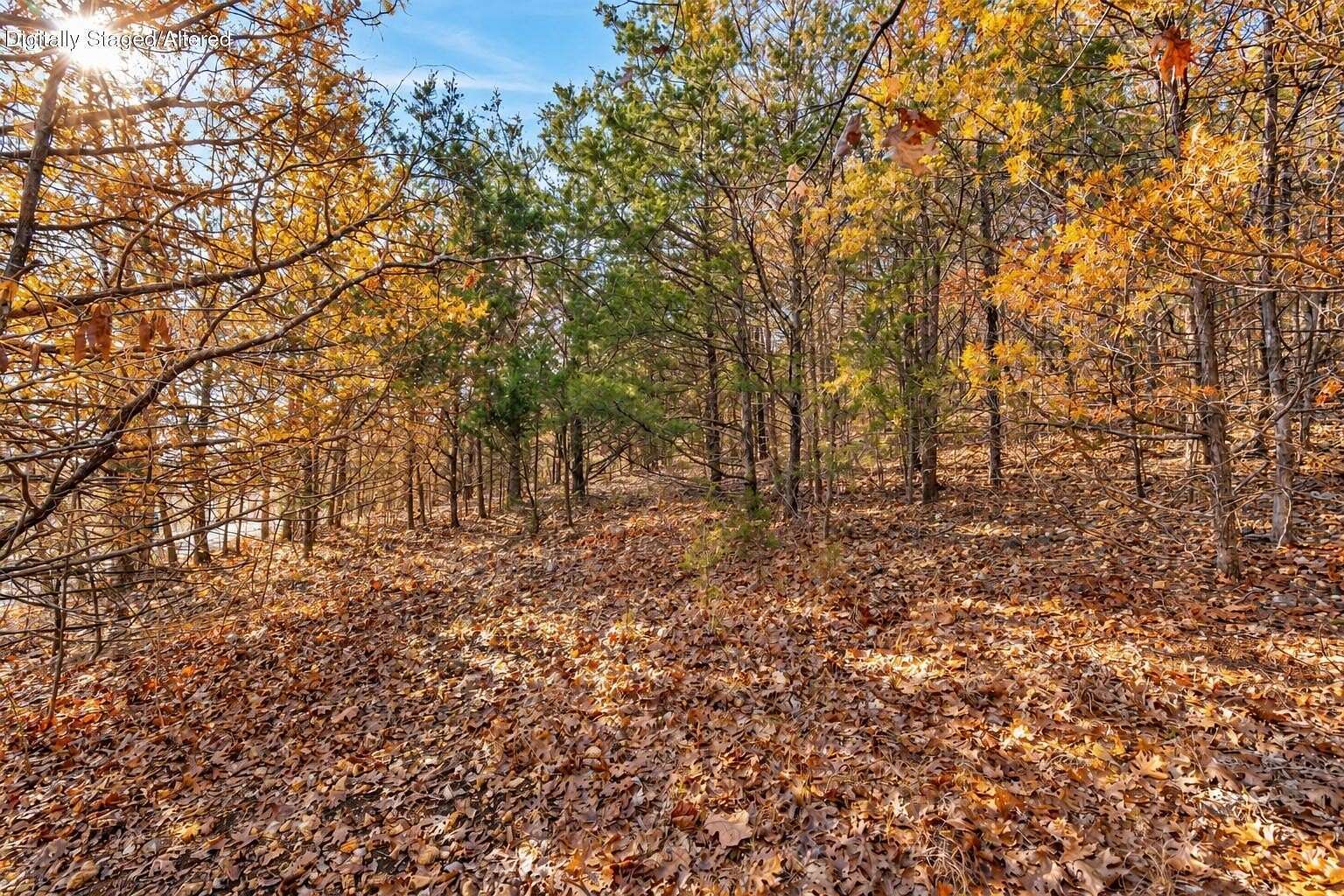 0.64 Acres of Land for Sale in Kimberling City, Missouri