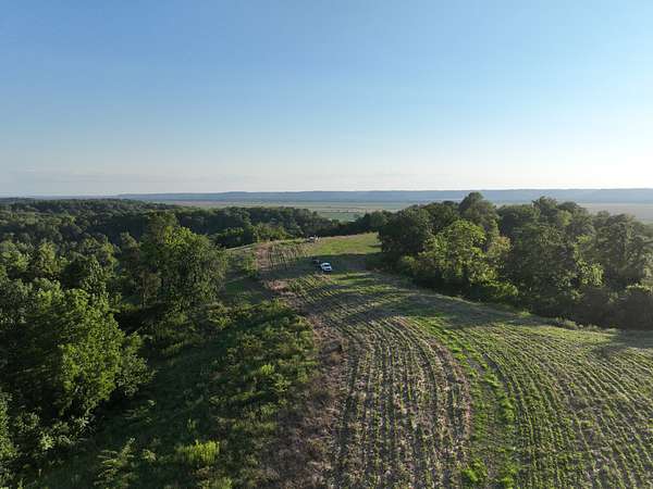 80 Acres of Land for Sale in Fieldon, Illinois