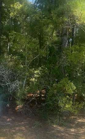 40 Acres of Land for Sale in Perkinston, Mississippi
