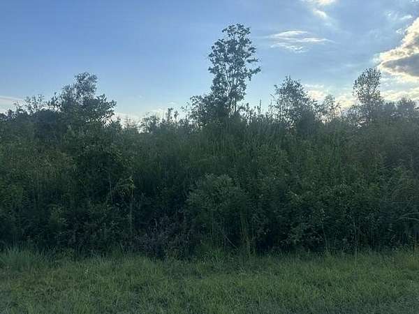 40 Acres of Land for Sale in Perkinston, Mississippi