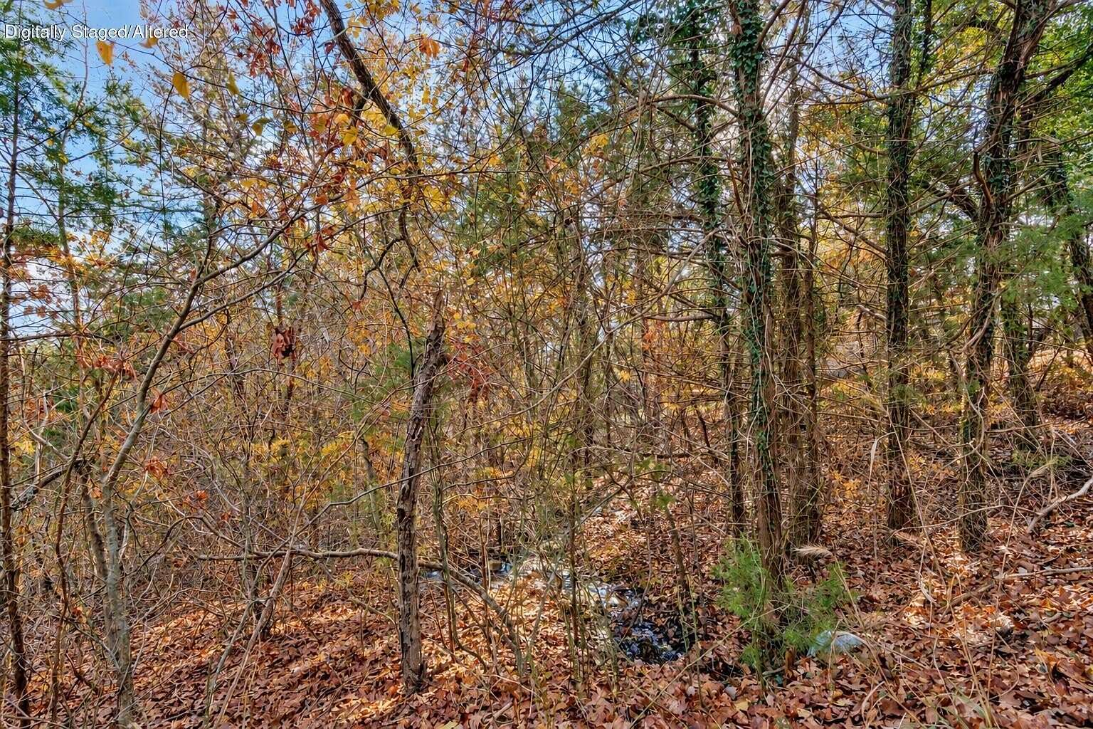 0.45 Acres of Residential Land for Sale in Kimberling City, Missouri