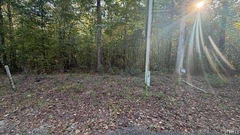 1.16 Acres of Land for Sale in Livingston, Alabama