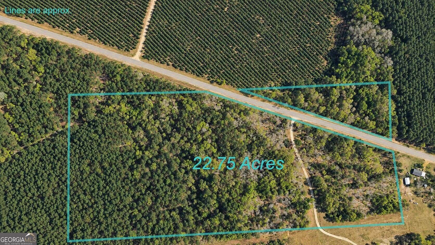 22.8 Acres of Recreational & Residential Land for Sale in Surrency, Georgia