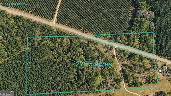 22.8 Acres of Recreational & Residential Land for Sale in Surrency, Georgia