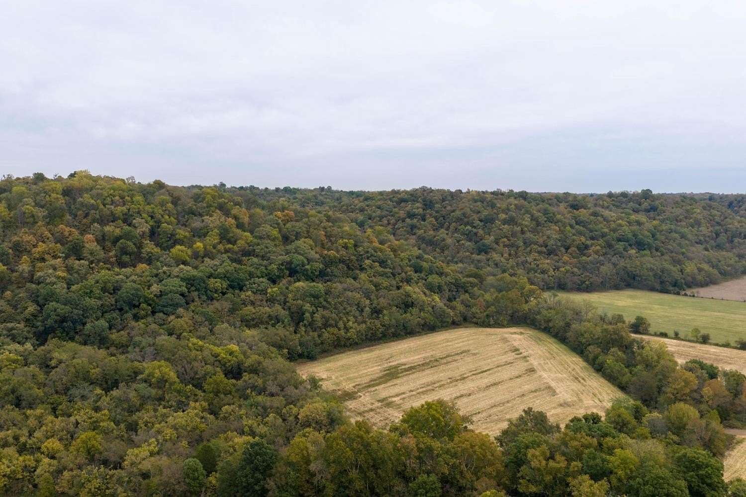 53.9 Acres of Land for Sale in Vevay, Indiana