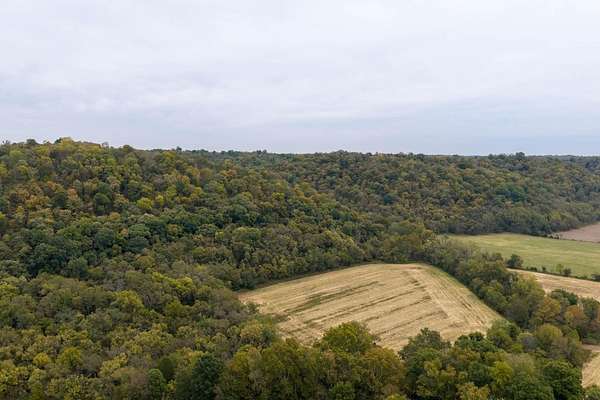 53.9 Acres of Land for Sale in Vevay, Indiana