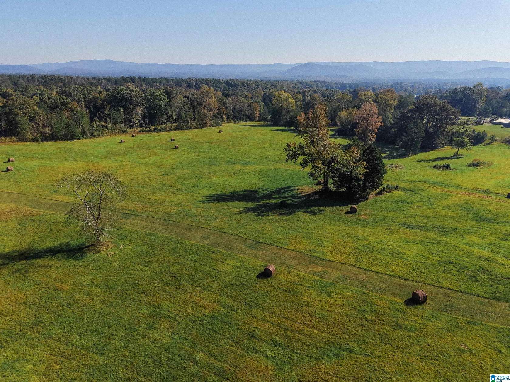 185 Acres of Agricultural & Residential Land for Sale in Anniston, Alabama