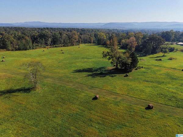 185 Acres of Agricultural & Residential Land for Sale in Anniston, Alabama