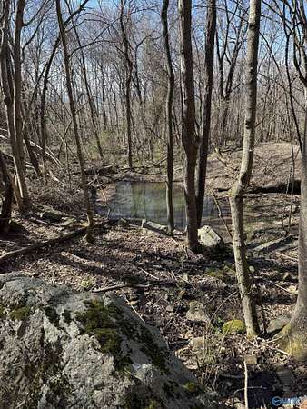 81 Acres of Recreational Land for Sale in Skyline, Alabama
