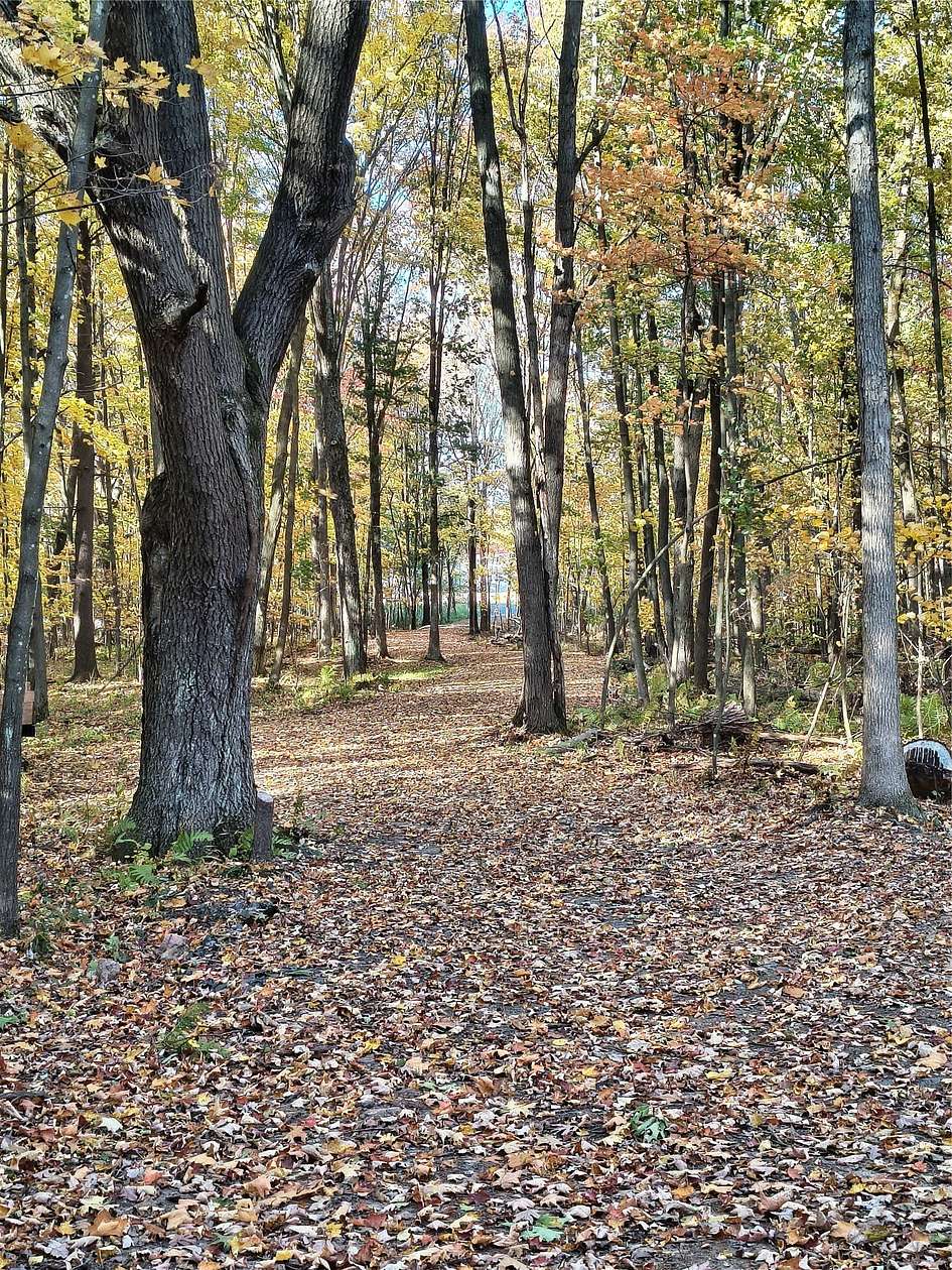 5 Acres of Residential Land for Sale in Boyd, Wisconsin