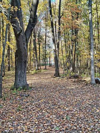 5 Acres of Residential Land for Sale in Boyd, Wisconsin