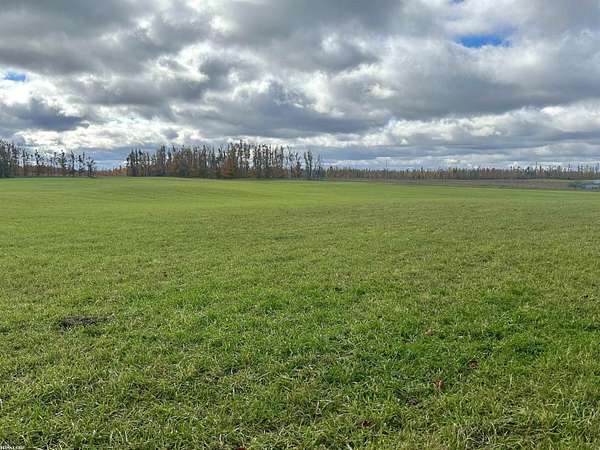 40 Acres of Land for Sale in Johannesburg, Michigan