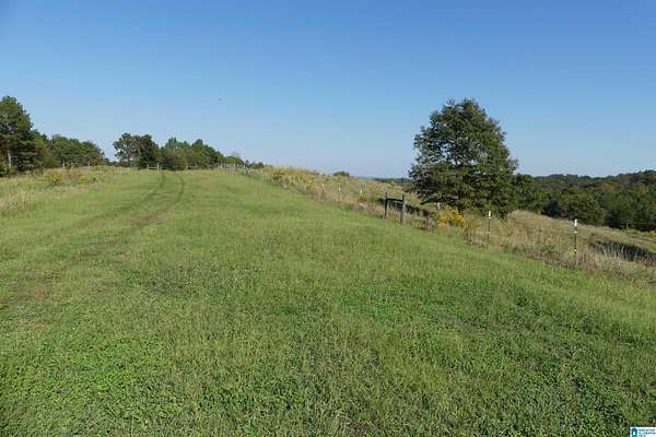 51 Acres of Recreational Land with Home for Sale in Wedowee, Alabama
