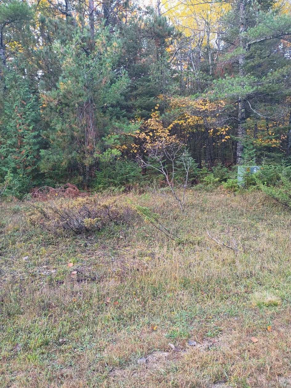 0.36 Acres of Residential Land for Sale in Presque Isle, Michigan
