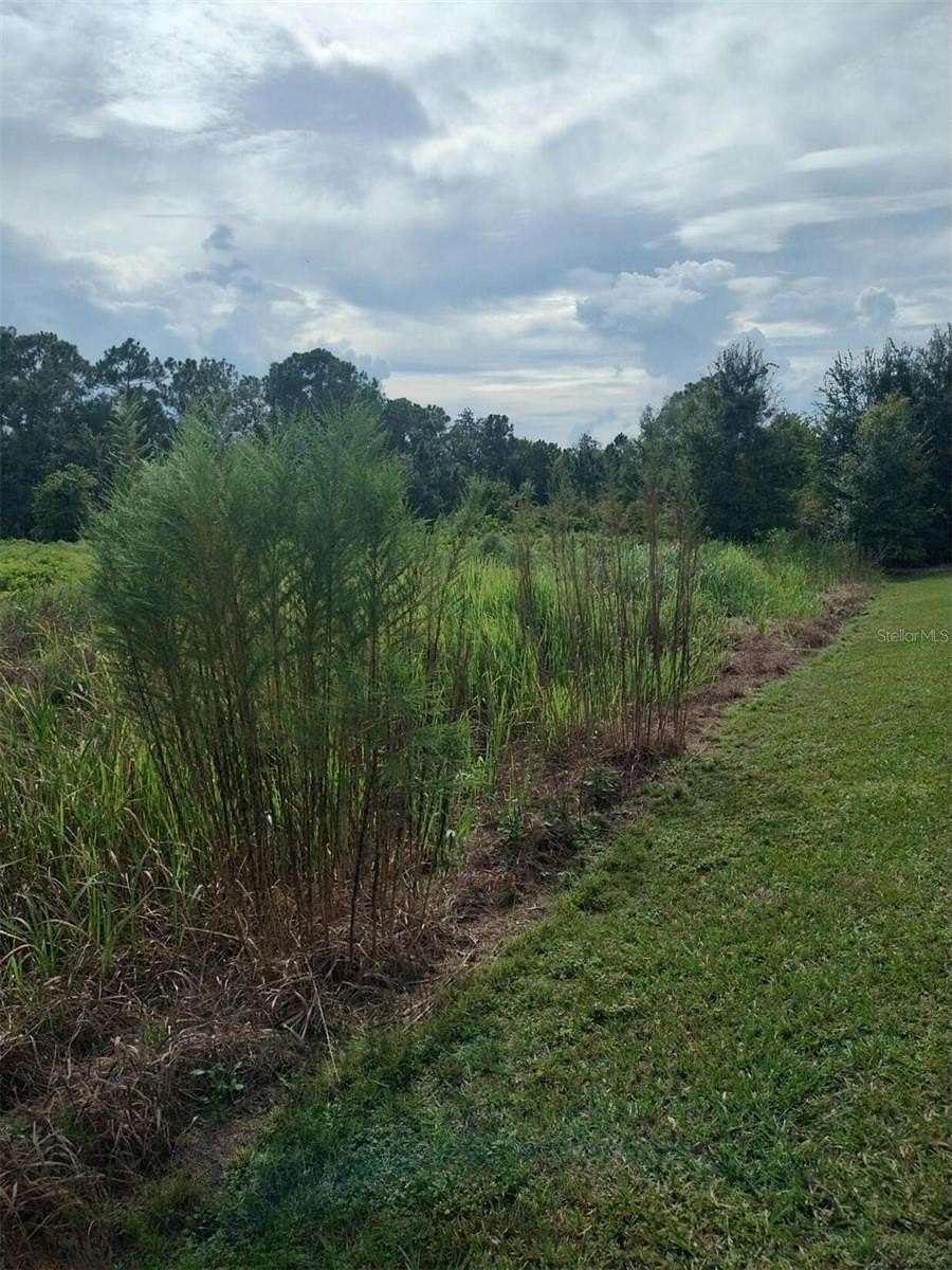 1.77 Acres of Land for Sale in Avon Park, Florida