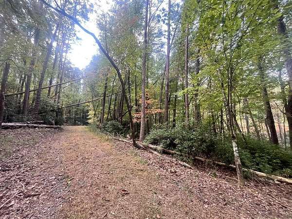 2 Acres of Residential Land for Sale in Ellijay, Georgia