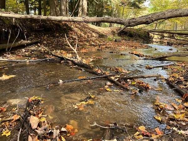 10 Acres of Residential Land for Sale in Fremont, Michigan