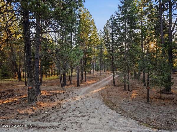 10 Acres of Land for Sale in Spirit Lake, Idaho