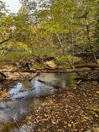 10 Acres of Residential Land for Sale in Fremont, Michigan