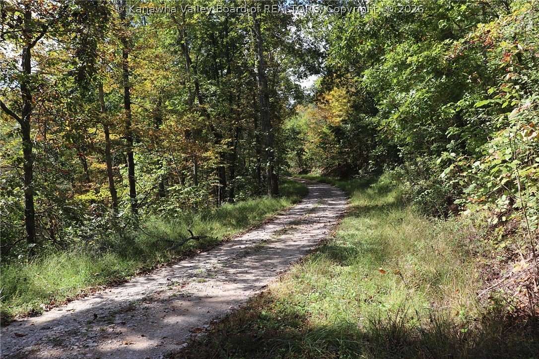 118 Acres of Recreational Land for Sale in Walton, West Virginia