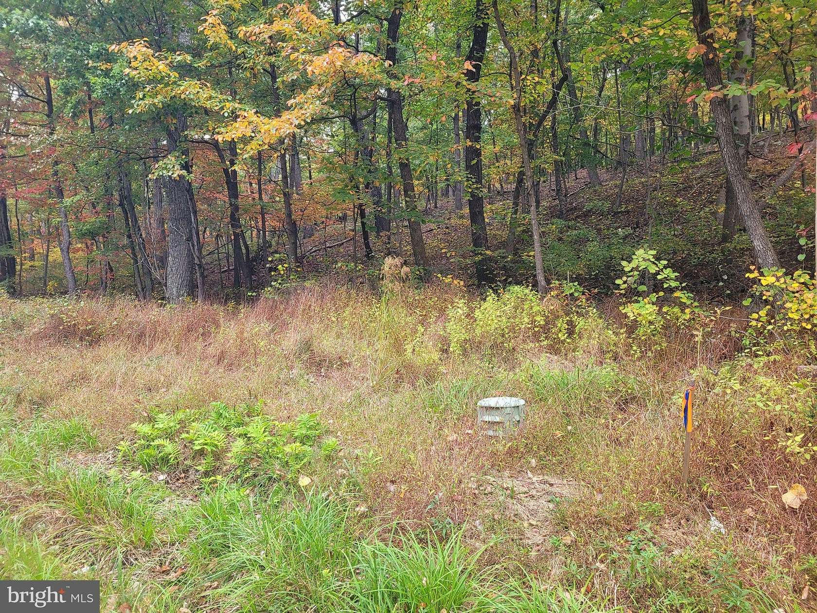 0.59 Acres of Residential Land for Sale in Winchester, Virginia