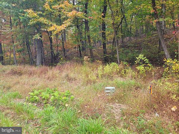 0.59 Acres of Residential Land for Sale in Winchester, Virginia