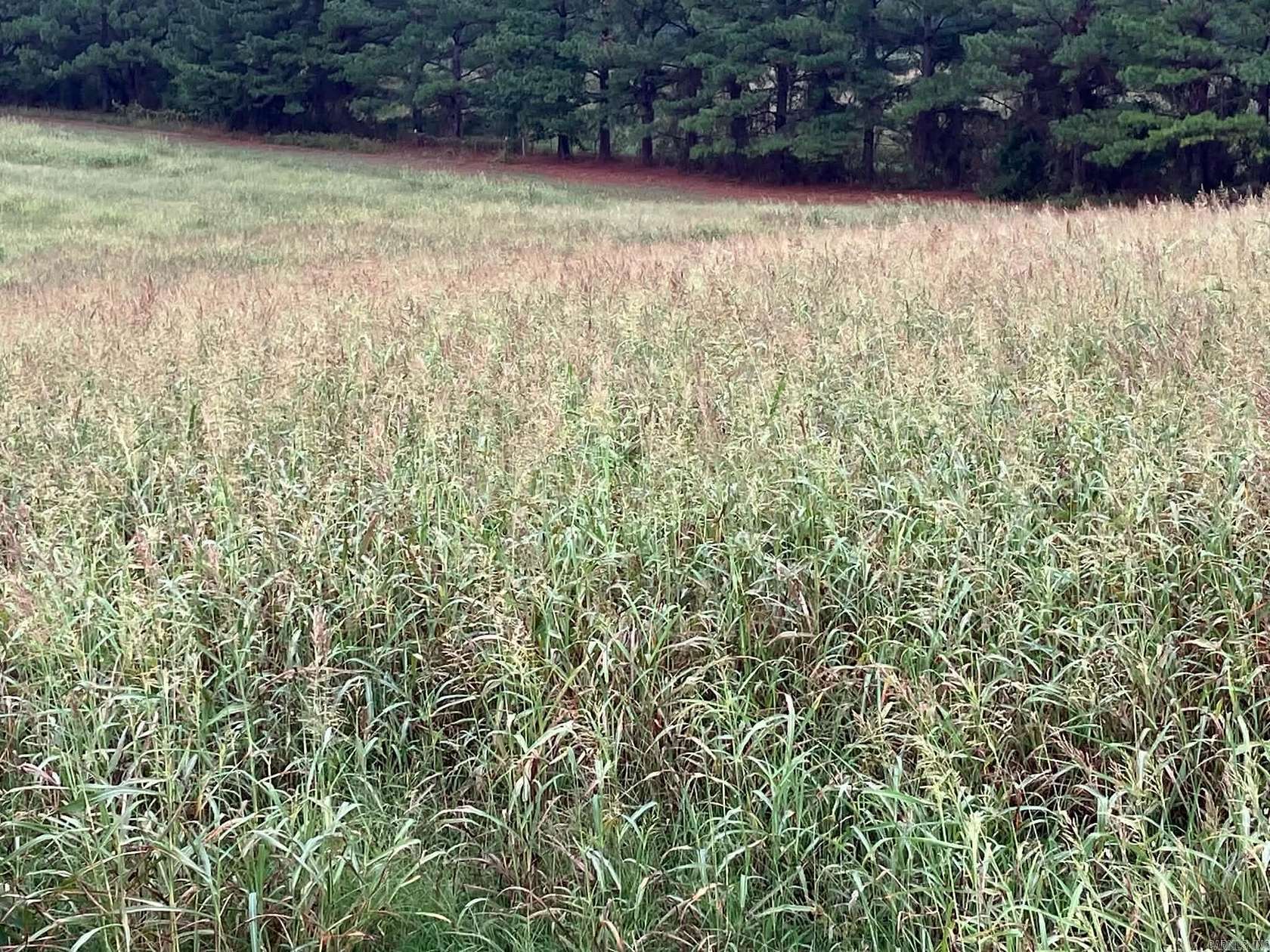 21.5 Acres of Land for Sale in Pencil Bluff, Arkansas
