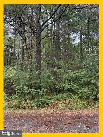 0.23 Acres of Residential Land for Sale in Bushwood, Maryland