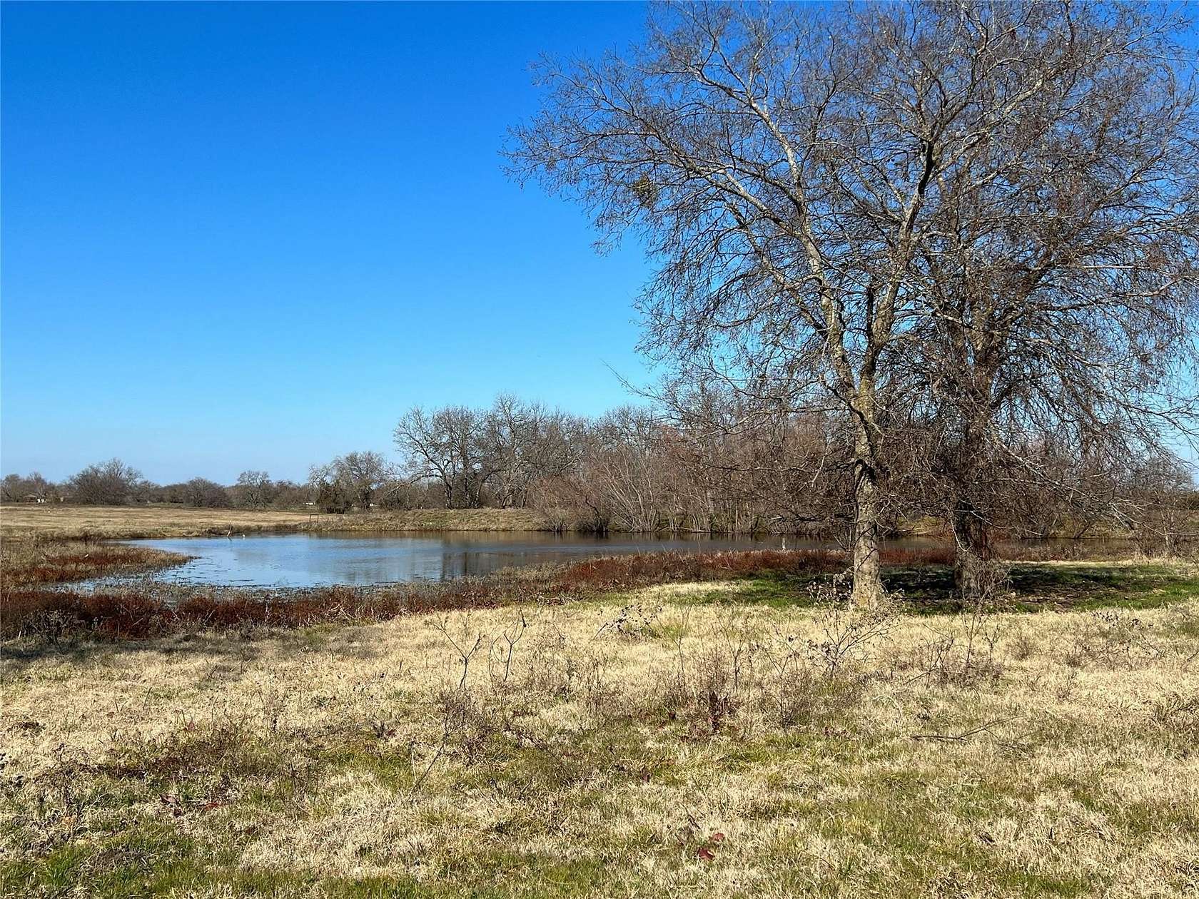 161 Acres of Agricultural & Residential Land for Sale in Cumby, Texas