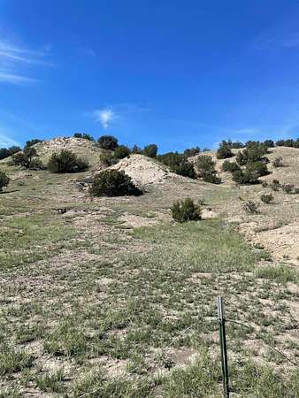 80 Acres of Land for Sale in Tyrone, Colorado