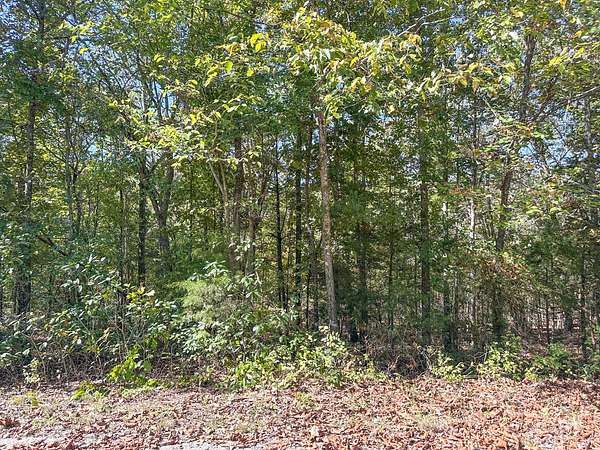 0.51 Acres of Residential Land for Sale in Cherokee Village, Arkansas
