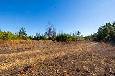 175 Acres of Land for Sale in Stewart, Tennessee