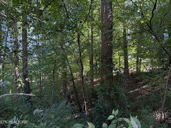 1.9 Acres of Residential Land for Sale in Knoxville, Tennessee