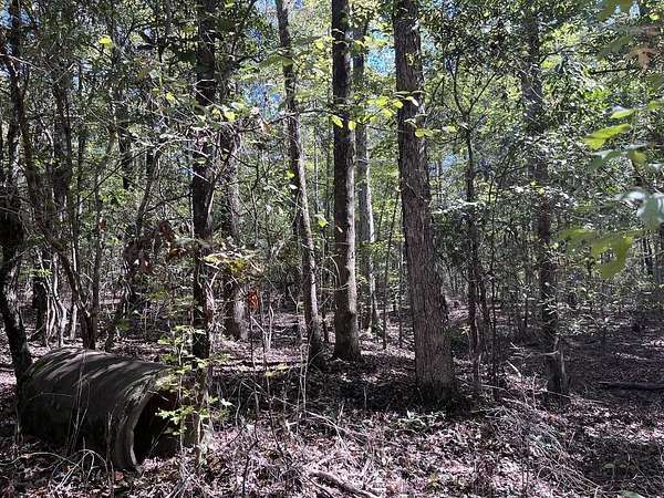 88 Acres of Recreational Land for Sale in Morris, Georgia