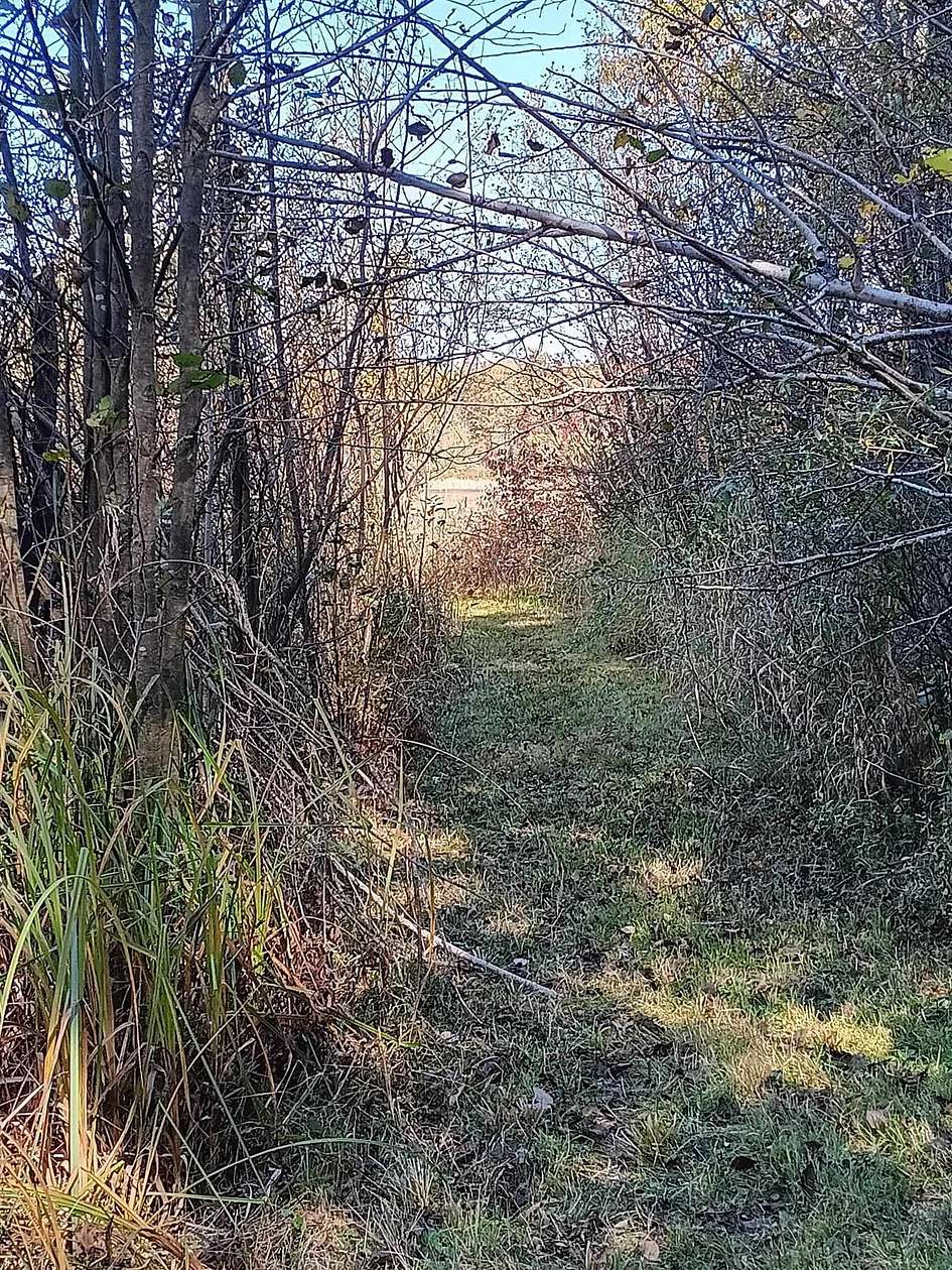 2 Acres of Land for Sale in Gladwin, Michigan