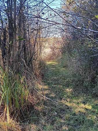 2 Acres of Land for Sale in Gladwin, Michigan