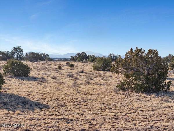 36.3 Acres of Recreational & Residential Land for Sale in Williams, Arizona