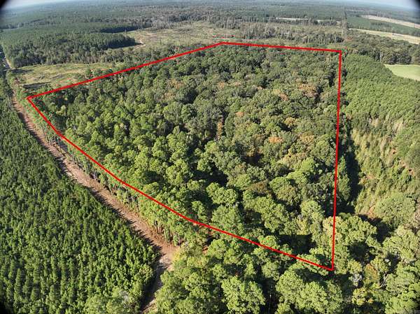 50.4 Acres of Recreational & Residential Land for Sale in El Dorado, Arkansas