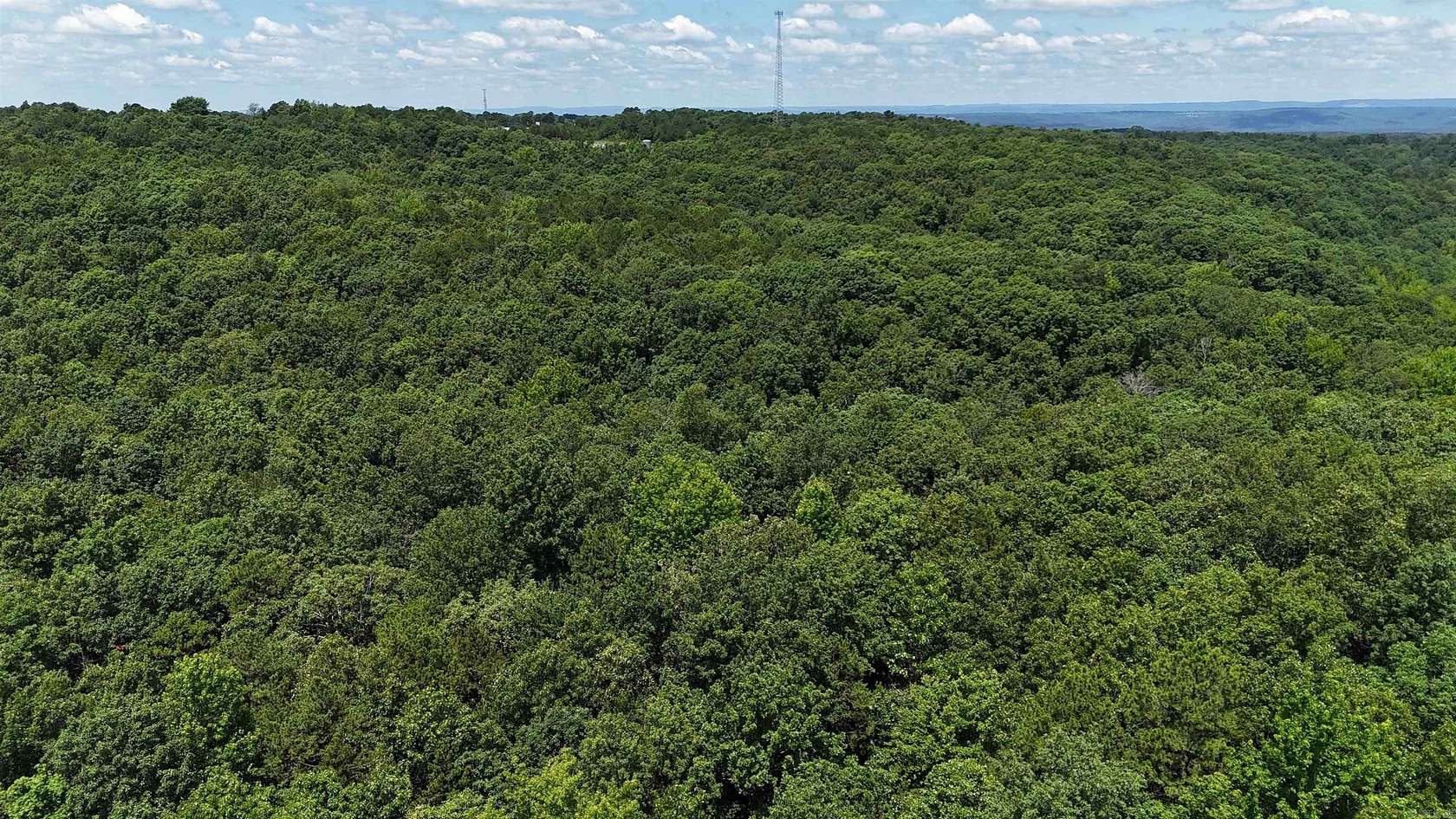 30 Acres of Land for Sale in Beech Grove, Arkansas