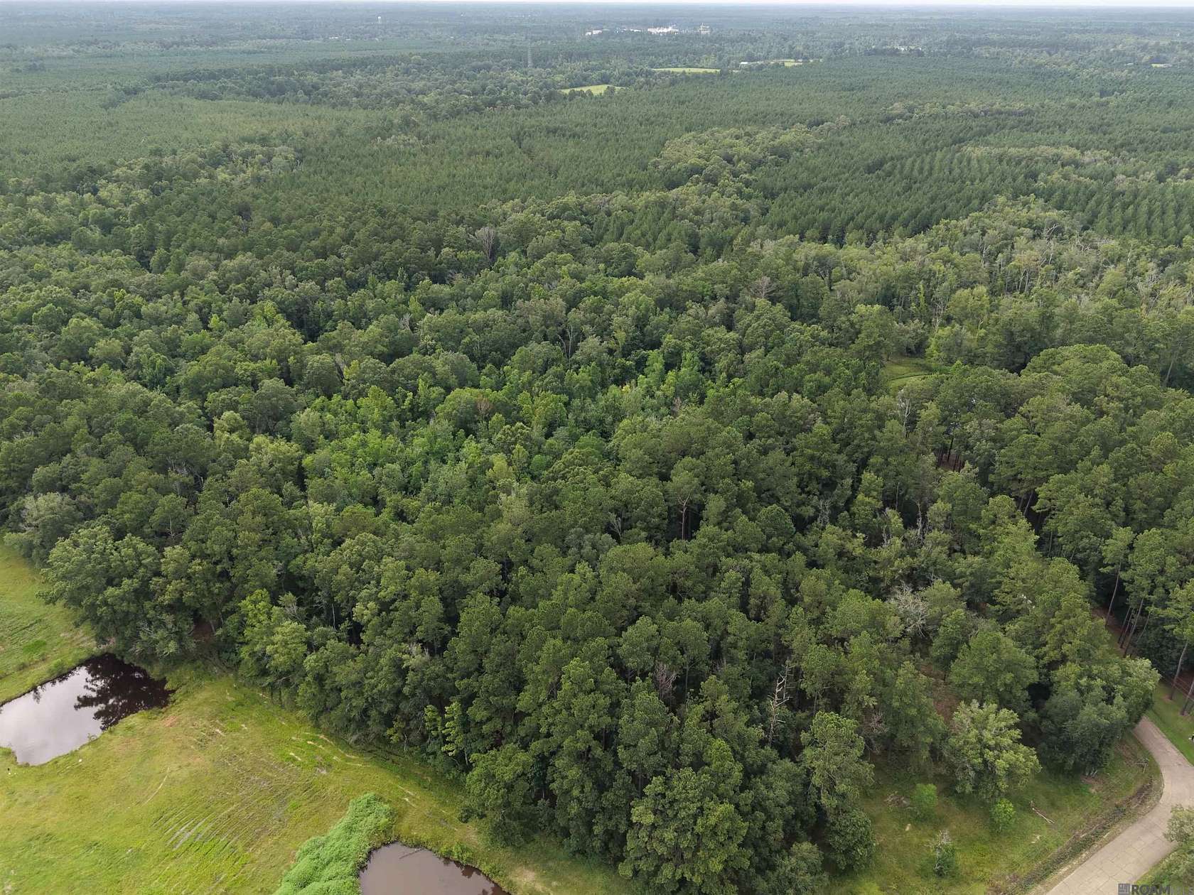 34.3 Acres of Land for Sale in Holden, Louisiana