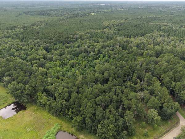 34.3 Acres of Land for Sale in Holden, Louisiana