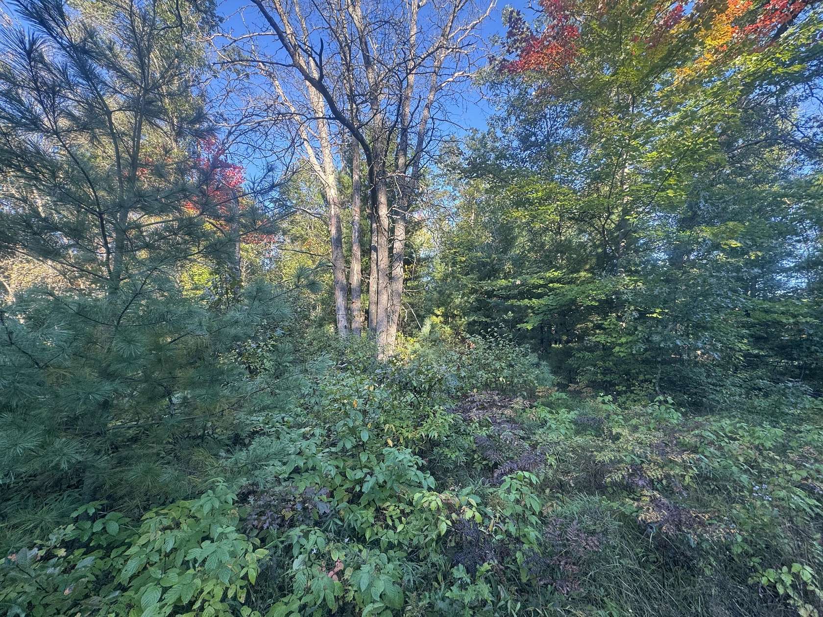 0.38 Acres of Land for Sale in Luzerne, Michigan