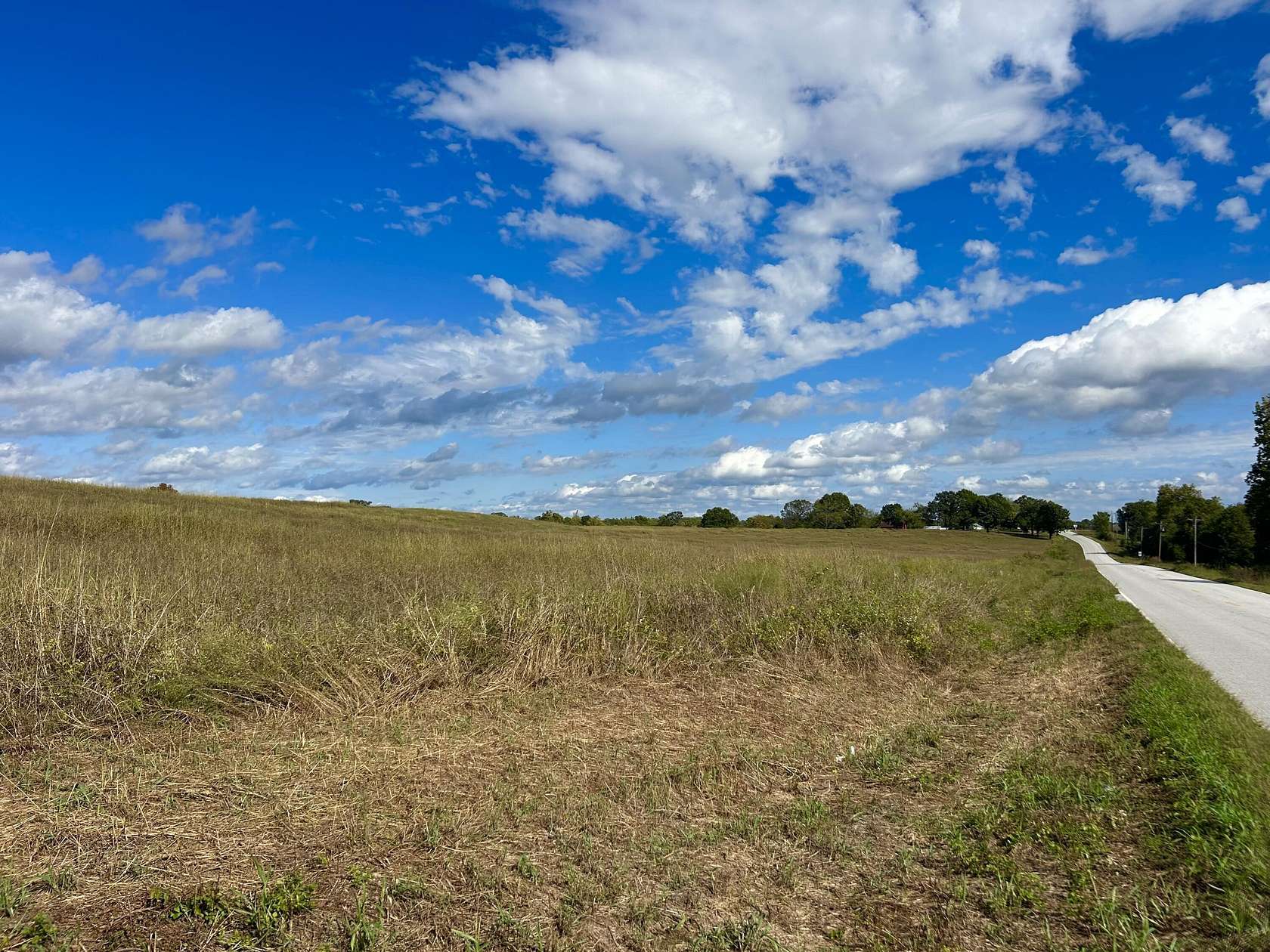 14 Acres of Land for Sale in Theodosia, Missouri