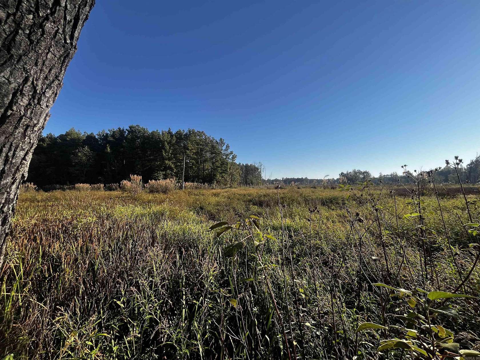 80 Acres of Recreational Land for Sale in Monticello, Arkansas