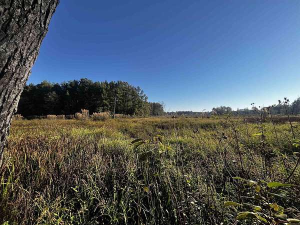 80 Acres of Recreational Land for Sale in Monticello, Arkansas